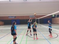 volley (18)